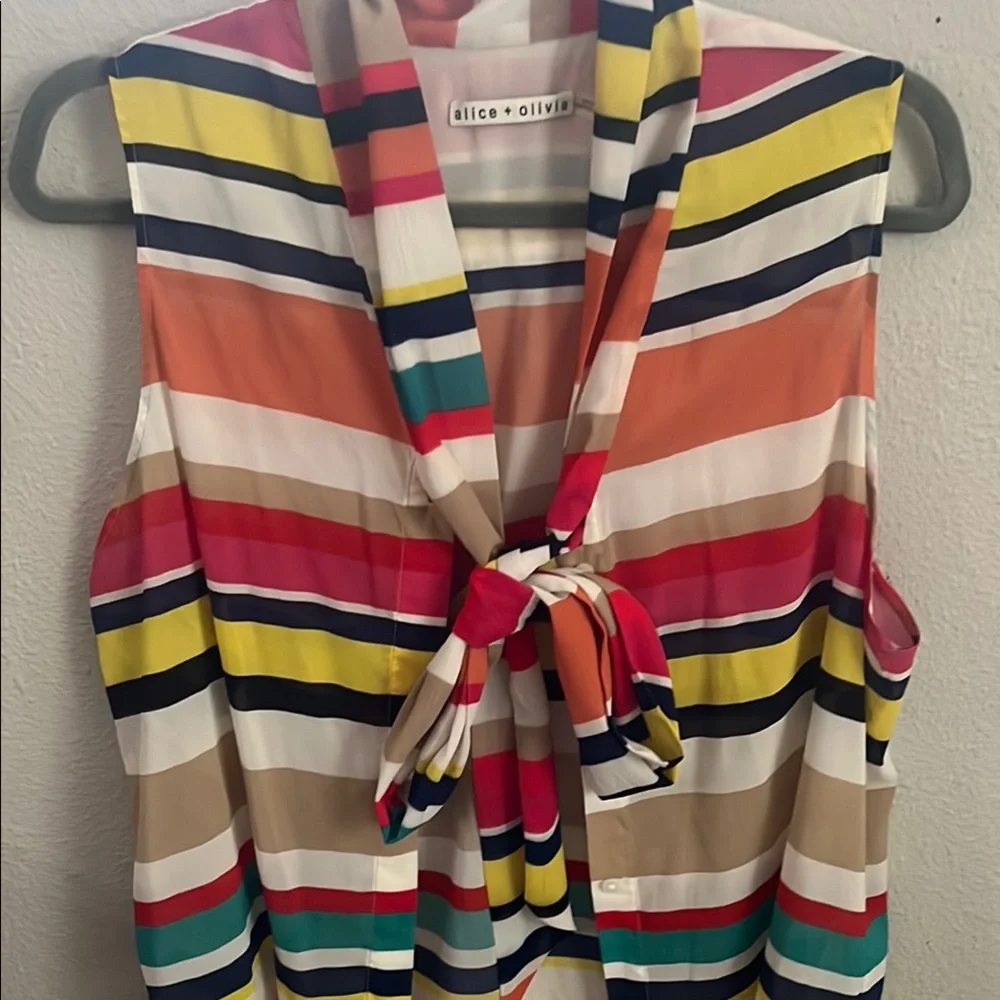 Alice + Olivia Colorful Striped Garment’s - Picture 3 of 5